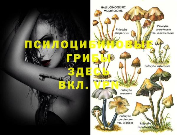 мескалин Балахна