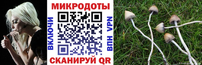Псилоцибиновые грибы Cubensis  где можно купить наркотик  Калининец 