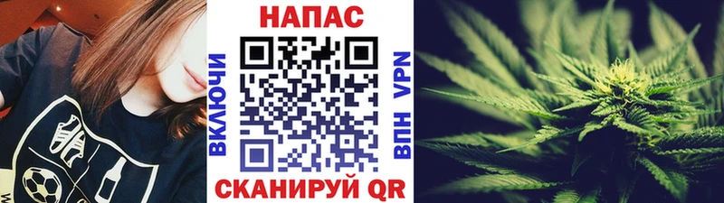Марихуана THC 21%  как найти   Калининец 